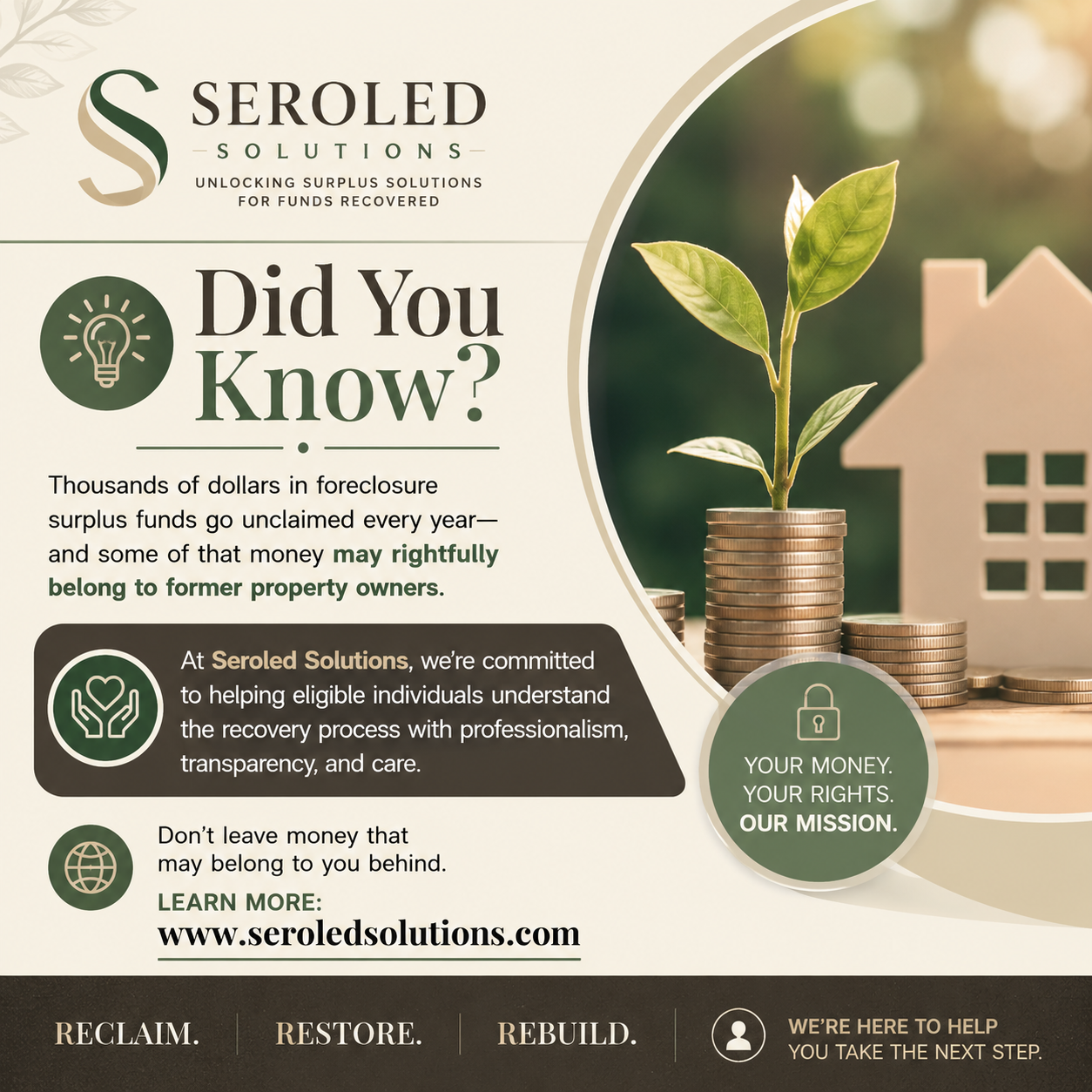 Storyboard key frame: Seroled Did You Know surplus funds graphic